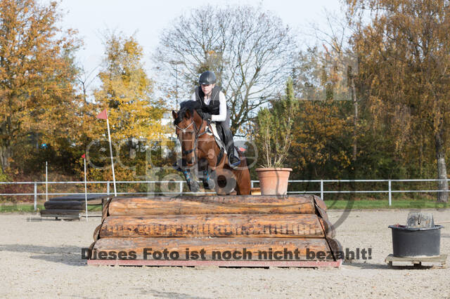 IGV Lehrgang der Sieger der Cups mit Frank Ostholt
