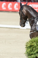 FEI European Championship