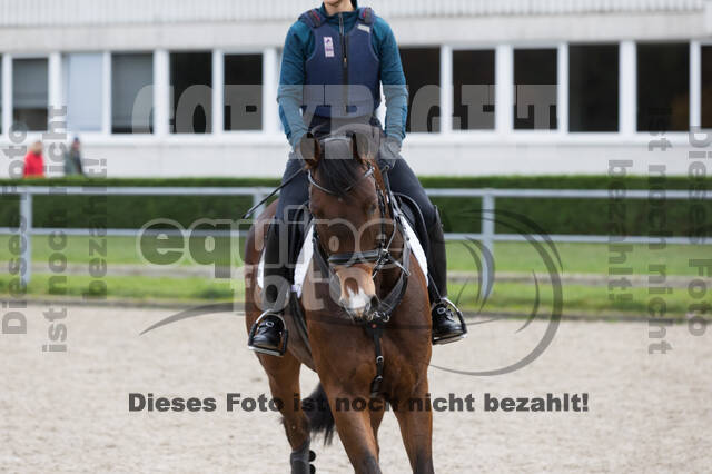 IGV Lehrgang der Sieger der Cups mit Frank Ostholt