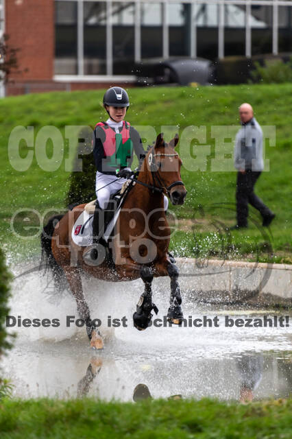 Goldene Schärpe 2020 - Pferde