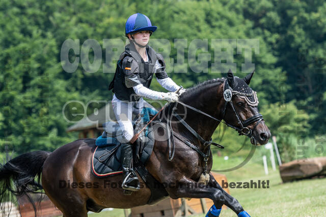 Goldene Schärpe 2021 - Ponys