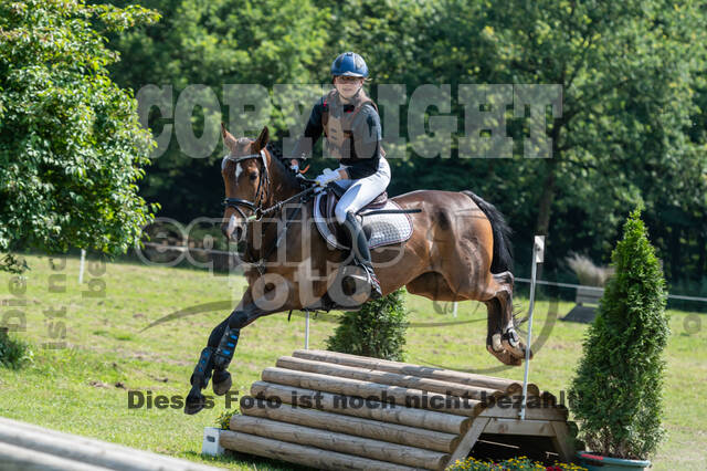 Goldene Schärpe 2021 - Ponys