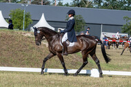 Kronenberg - De Peelbergen (August 2020)