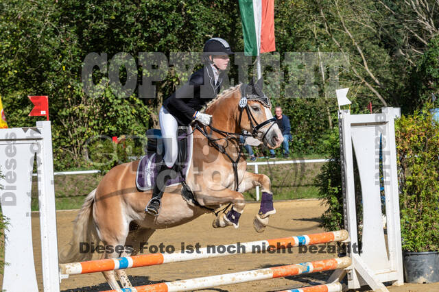 RFV Dinslaken-Hiesfeld (Herbstturnier)