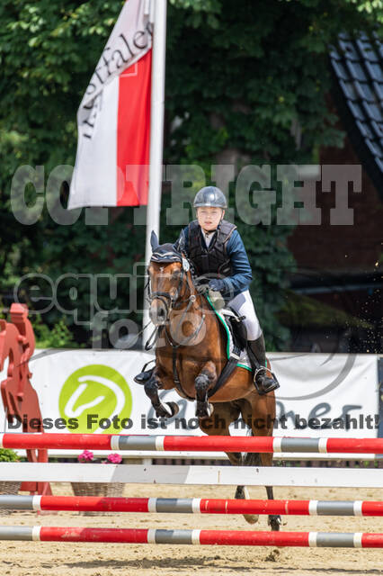 Goldene Schärpe 2021 - Ponys