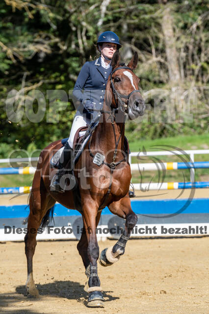 RFV Dinslaken-Hiesfeld (Herbstturnier)