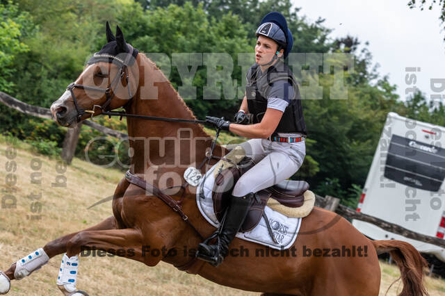 Late-Entry Vielseitigkeit Hamminkeln/Wesel (01.+02.08.2020)