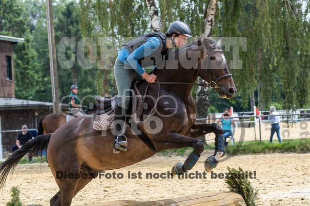 Hunter Geländetraining 10.07.2021 (Sonsbeck)
