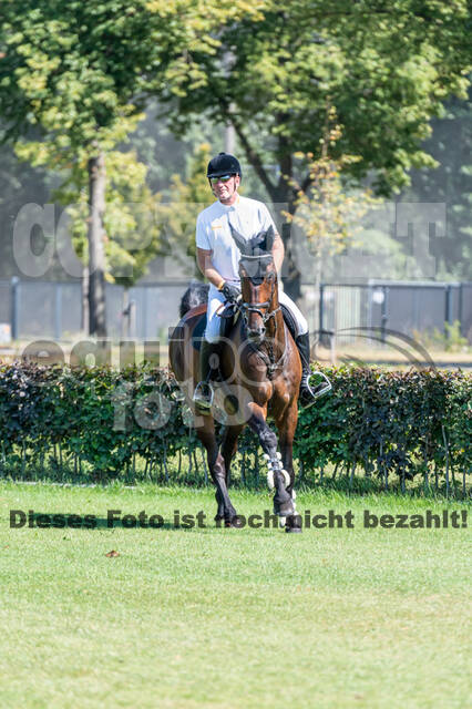 Kronenberg - De Peelbergen (August 2020)