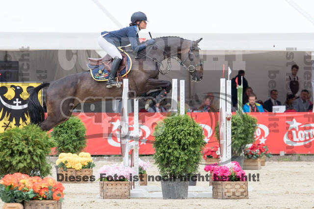 FEI European Championship