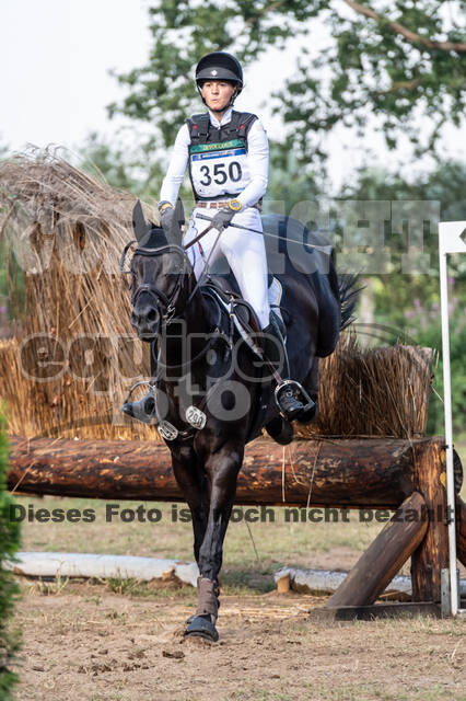 De Peelbergen (August 2020)