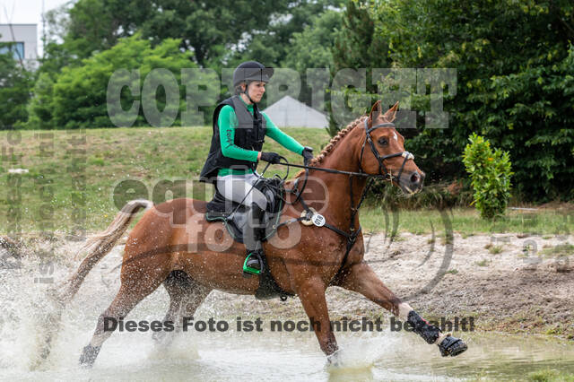 Late-Entry-Vielseitigkeit Langenfeld (11.+13./14.06.2020)