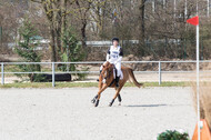 Eventing Langenfeld 2018