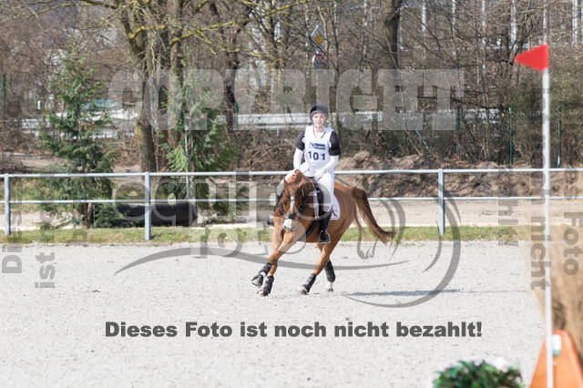 Eventing Langenfeld 2018