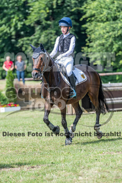 Goldene Schärpe 2021 - Ponys