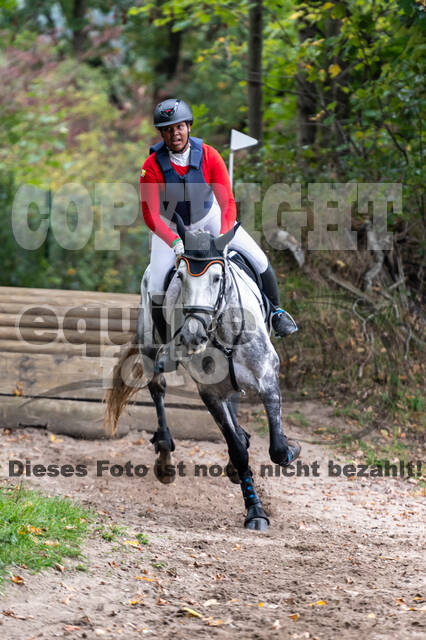 Goldene Schärpe 2020 - Pferde