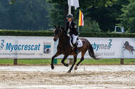 Goldene Schärpe 2021 - Ponys
