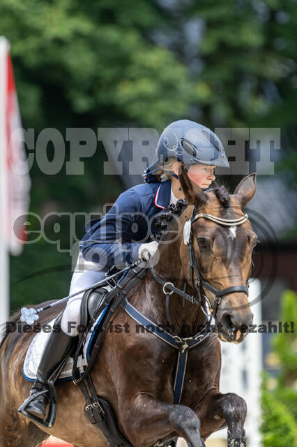 Goldene Schärpe 2021 - Ponys