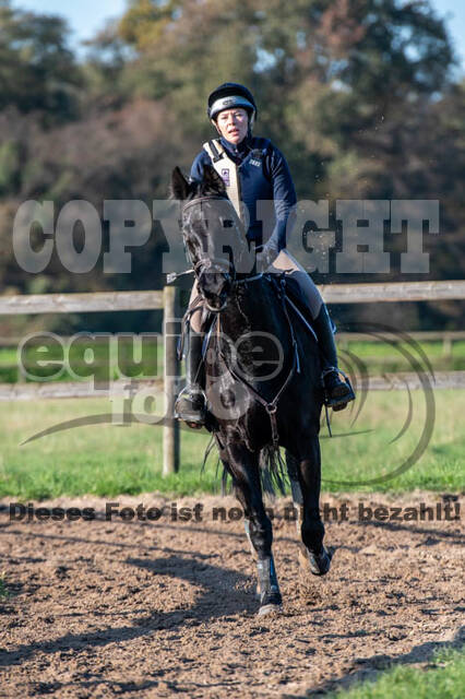 Vielseitigkeitslehrgang mit Jürg Kurbel (9.+10.11.2019)