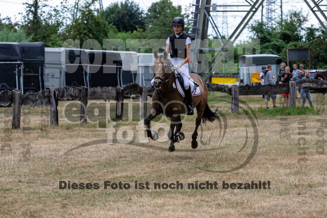 Late-Entry Vielseitigkeit Hamminkeln/Wesel (01.+02.08.2020)