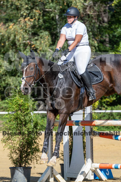 RFV Dinslaken-Hiesfeld (Herbstturnier)