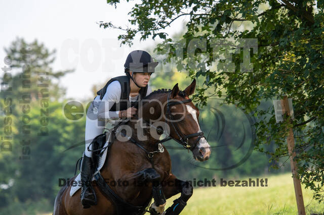 Late-Entry-Vielseitigkeit Gahlen (18.07.2020)
