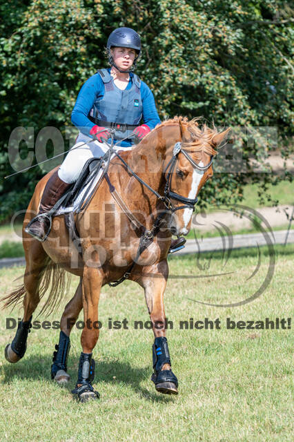 Late-Entry-Vielseitigkeit Langenfeld (11.+13./14.06.2020)