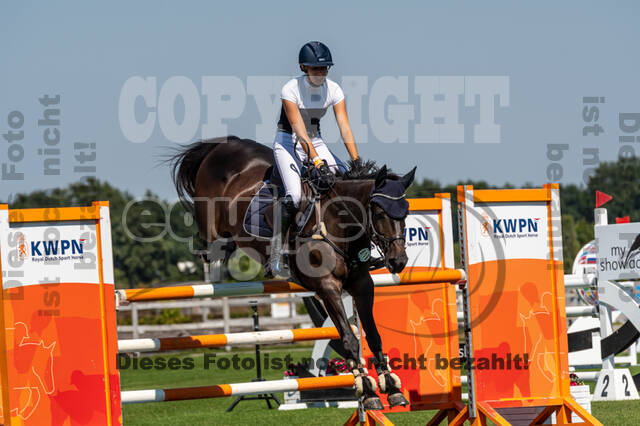 Kronenberg - De Peelbergen (August 2020)