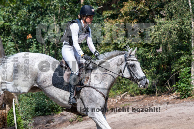 De Peelbergen (August 2020)