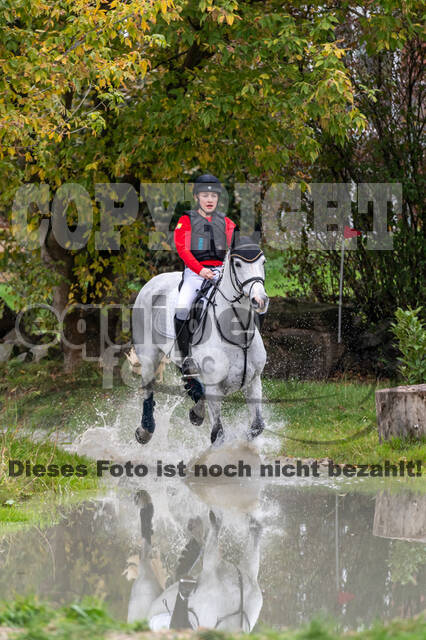 Goldene Schärpe 2020 - Pferde