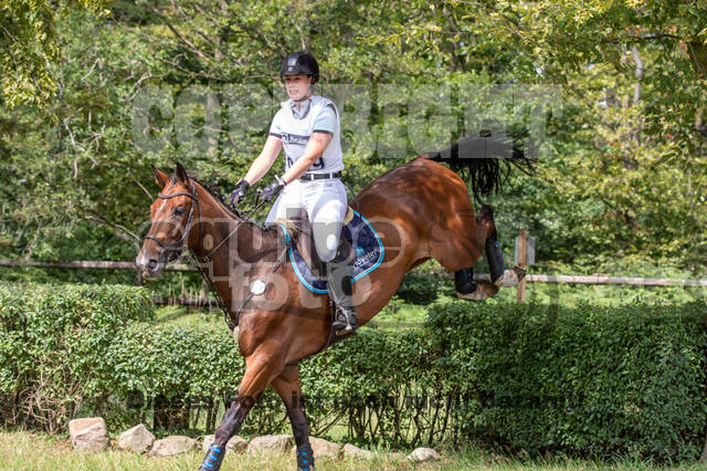 Late-Entry-Vielseitigkeit Gahlen (18.07.2020)