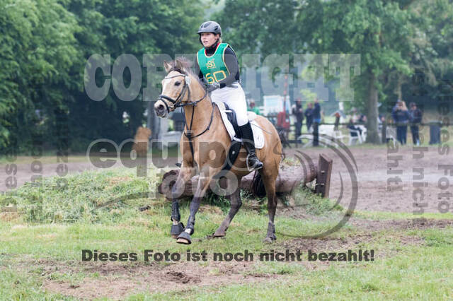Vielseitigkeitsturnier ZRFV von Lützow Hamminkeln