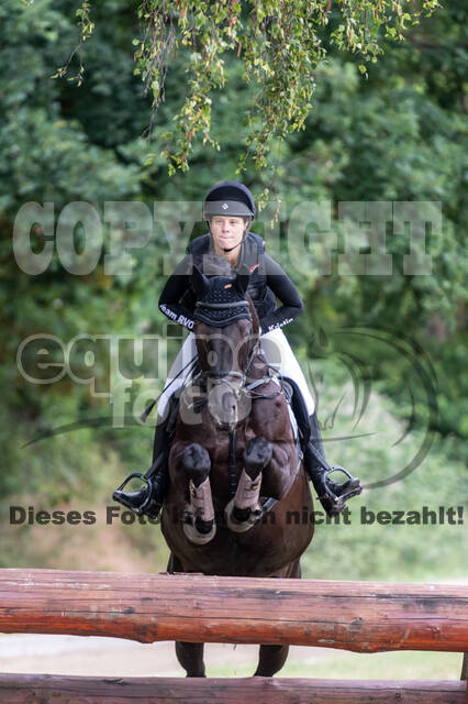 Late-Entry-Vielseitigkeit Langenfeld (11.+13./14.06.2020)