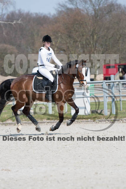 Eventing Langenfeld 2018