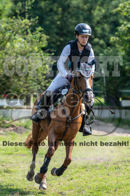 Goldene Schärpe 2021 - Ponys
