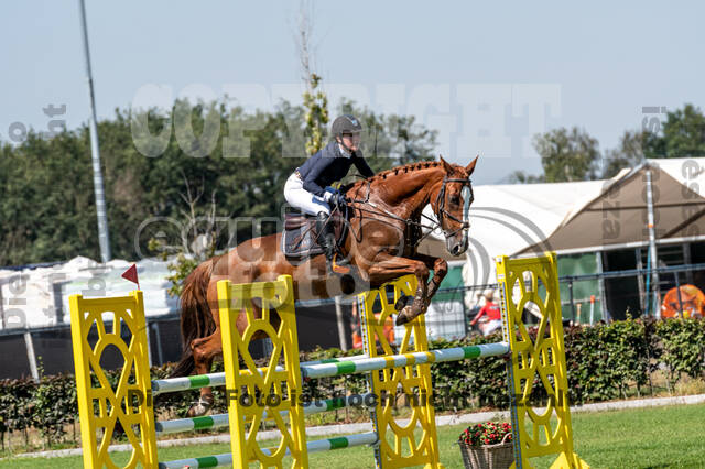 Kronenberg - De Peelbergen (August 2020)