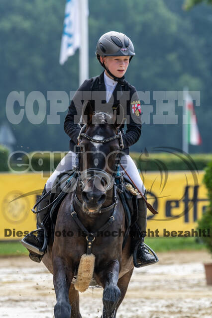 Goldene Schärpe 2021 - Ponys