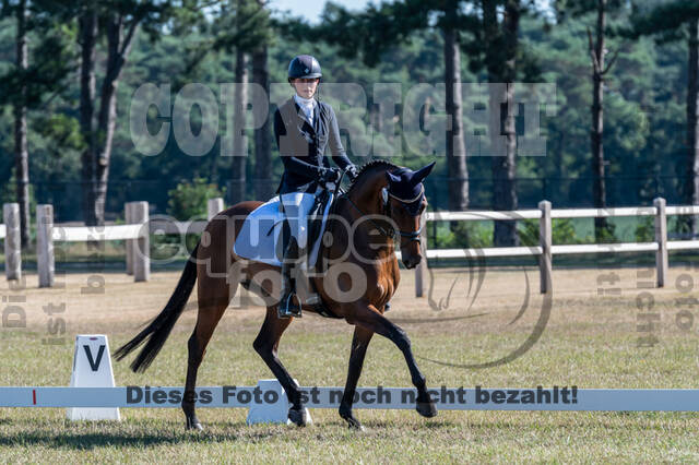 Kronenberg - De Peelbergen (August 2020)