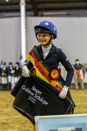 Goldene Schärpe 2021 - Ponys