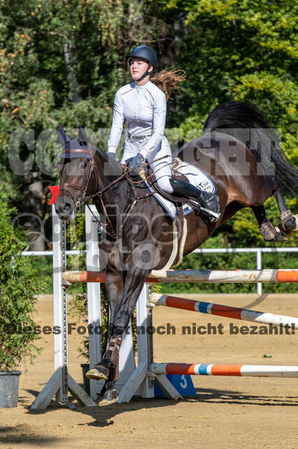 RFV Dinslaken-Hiesfeld (Herbstturnier)