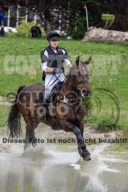 Late-Entry-Vielseitigkeit Langenfeld (06.+07.07.2020)