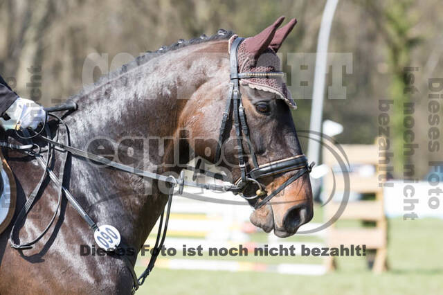 Frühjahrsvielseitigkeit RV Seydlitz Kamp