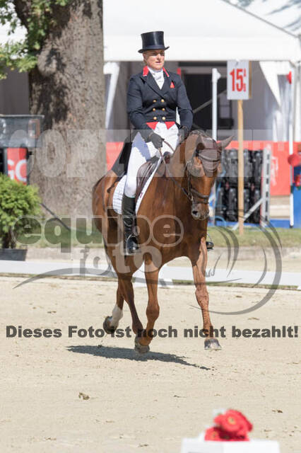FEI European Championship Eventing 2017