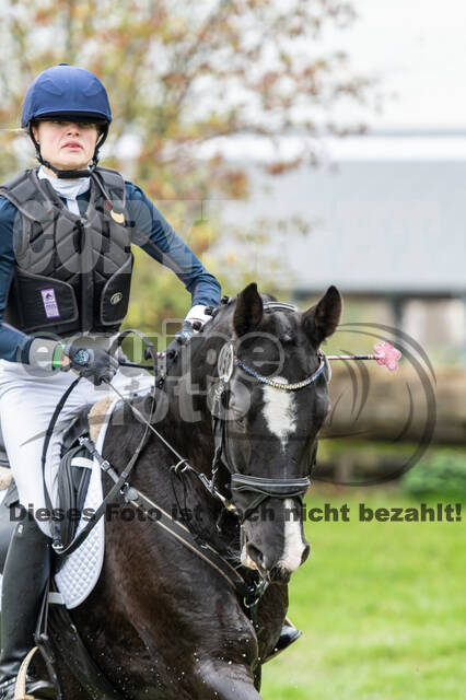 Goldene Schärpe 2020 - Pferde