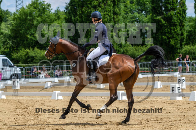 Westerstede Horse Trials 2021