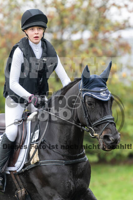 Goldene Schärpe 2020 - Pferde