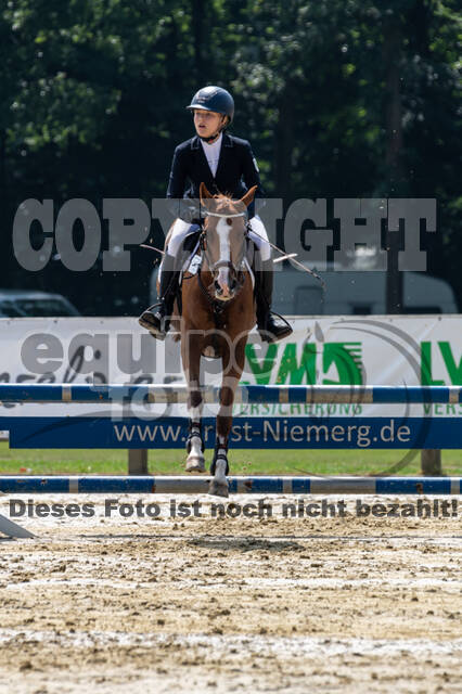 Goldene Schärpe 2021 - Ponys