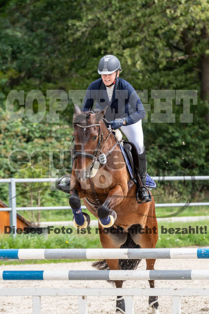 Late-Entry-Vielseitigkeit Langenfeld (06.+07.07.2020)