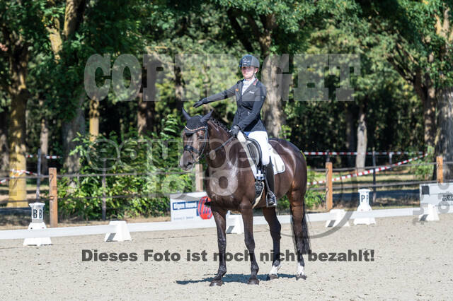 Kronenberg - De Peelbergen (August 2020)