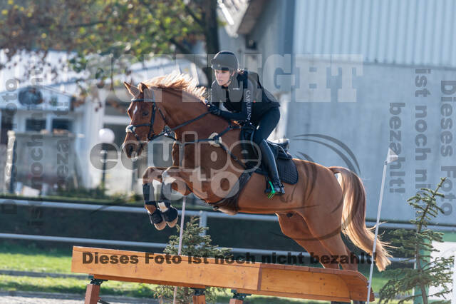 IGV Lehrgang der Sieger der Cups mit Frank Ostholt